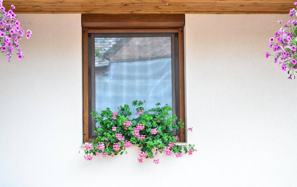 Pava Apartmanhaz Мако Екстер'єр фото